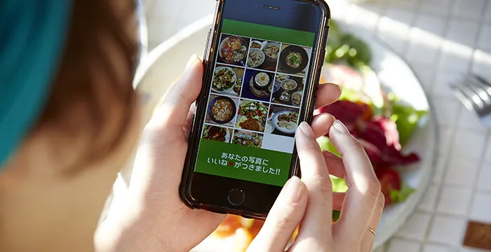 会員情報や新着情報などのCMS構築