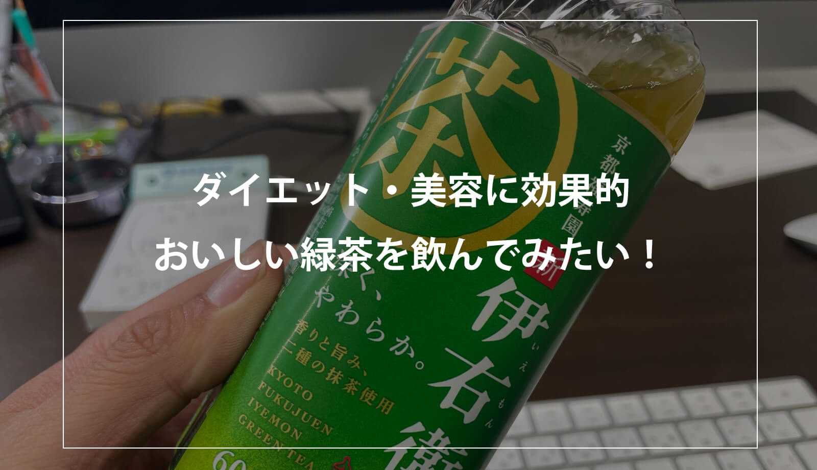 おいしい緑茶の飲み方